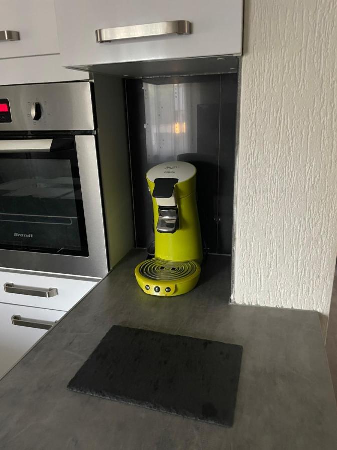 Chaleureux Avec Entrée Indépendante . * Wittenheim